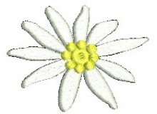 Stickdatei - Bayrisches Edelweiss